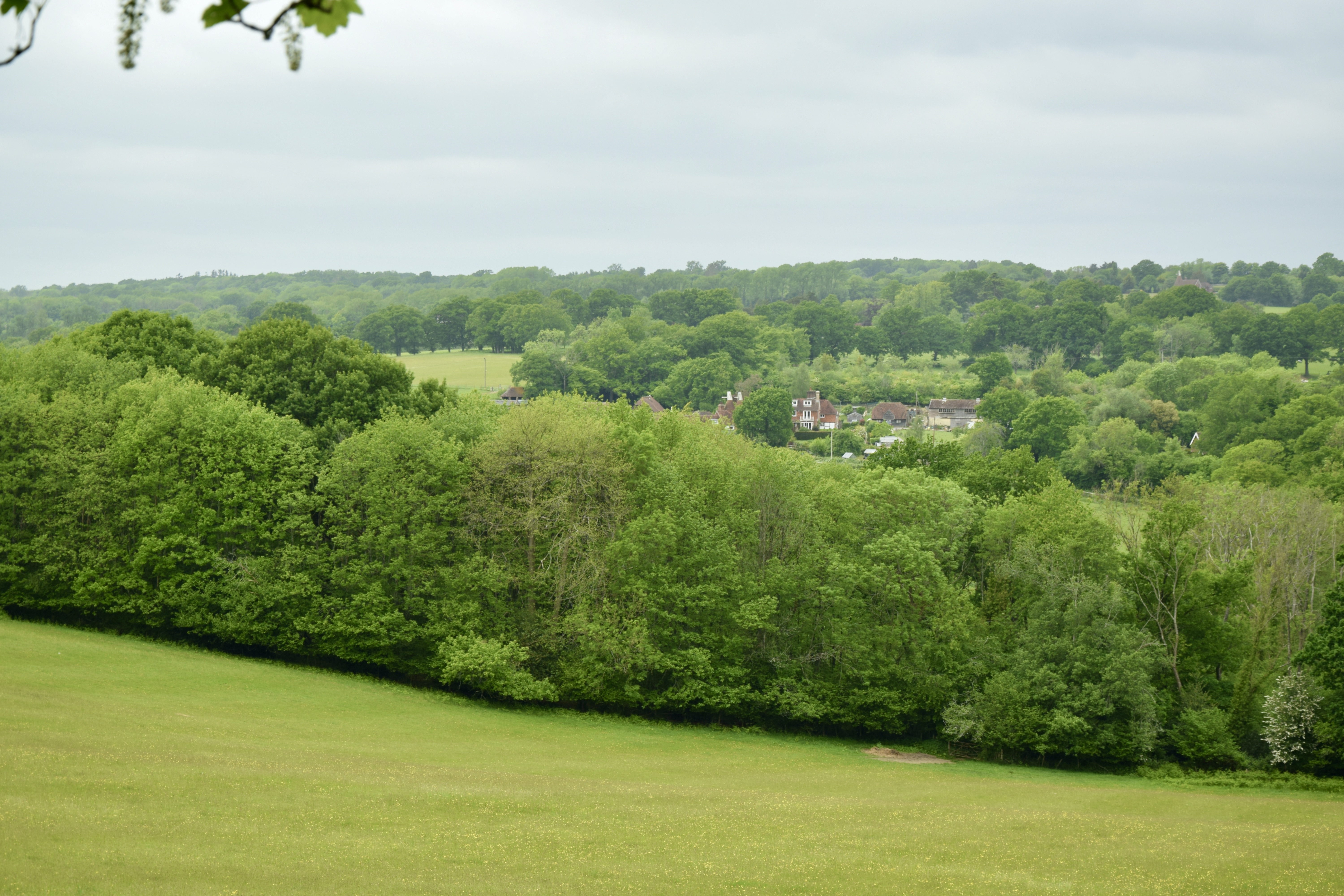 Countryside around Bateman's
